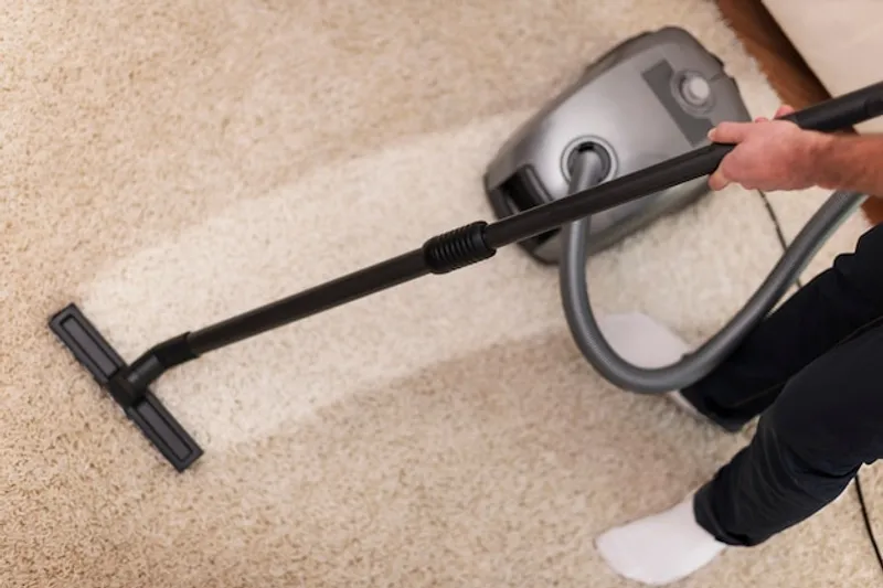 Professional Carpet Cleaning Services in Chennai